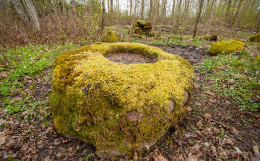 21_Šauklių senovės kulto vieta 1 (2).jpg